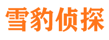 集宁外遇调查取证